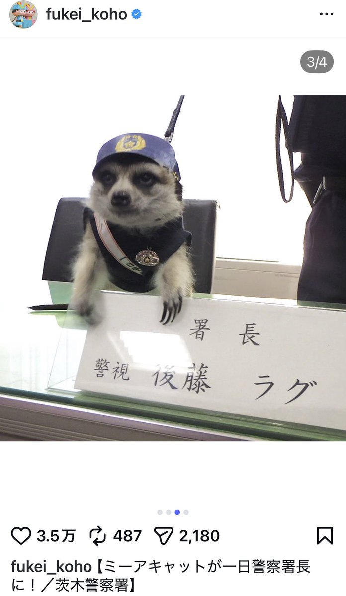 大阪府警がインスタグラム始めましたってチラシくれたから見てみたら