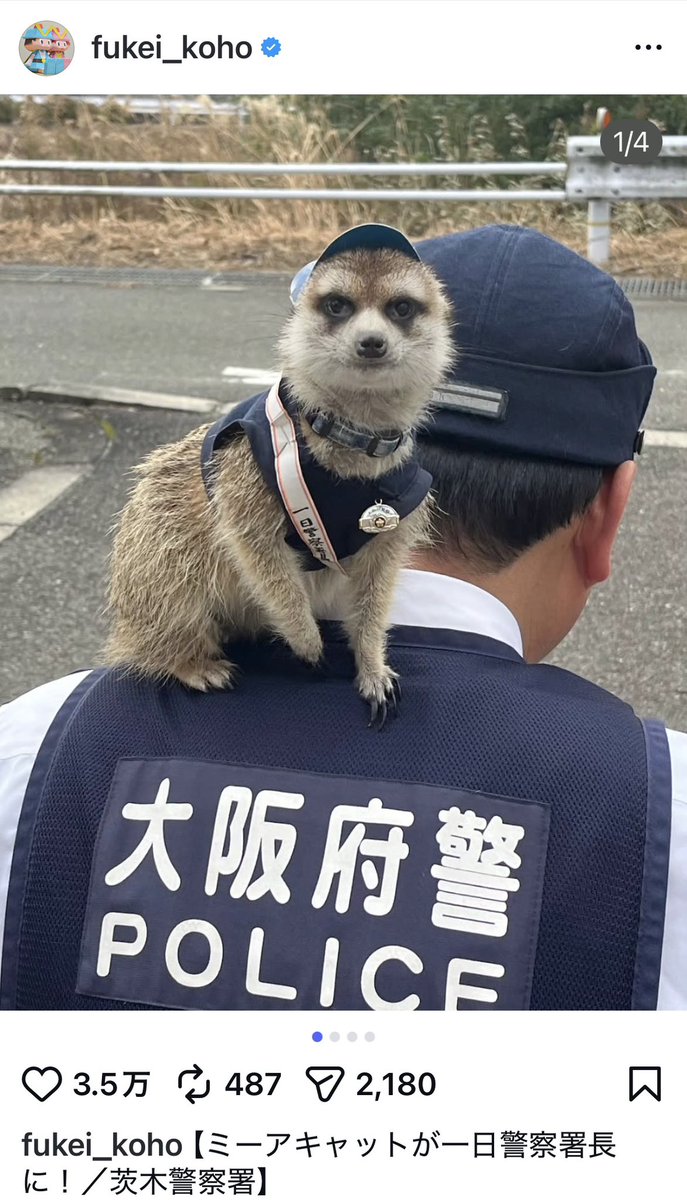 大阪府警がインスタグラム始めましたってチラシくれたから見てみたら