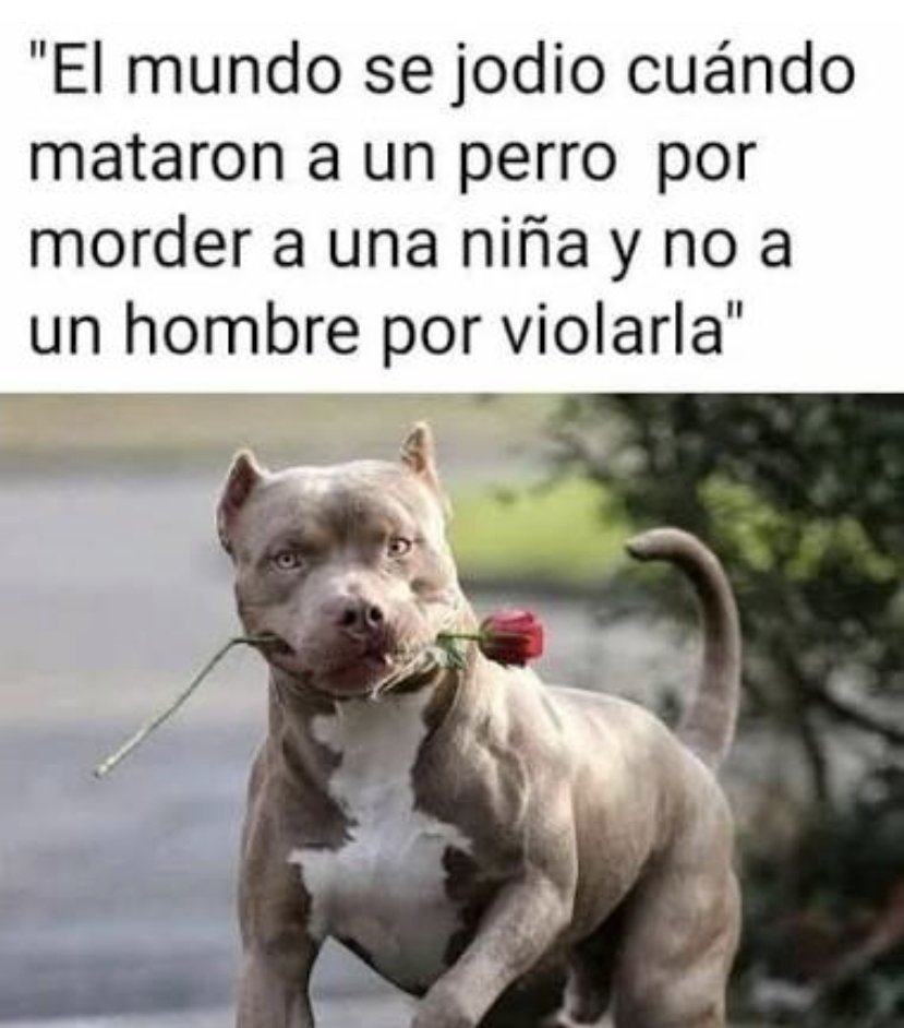 <a href="/dastansullivanx/">𝕯𝖆𝖘𝖙𝖆𝖓</a>