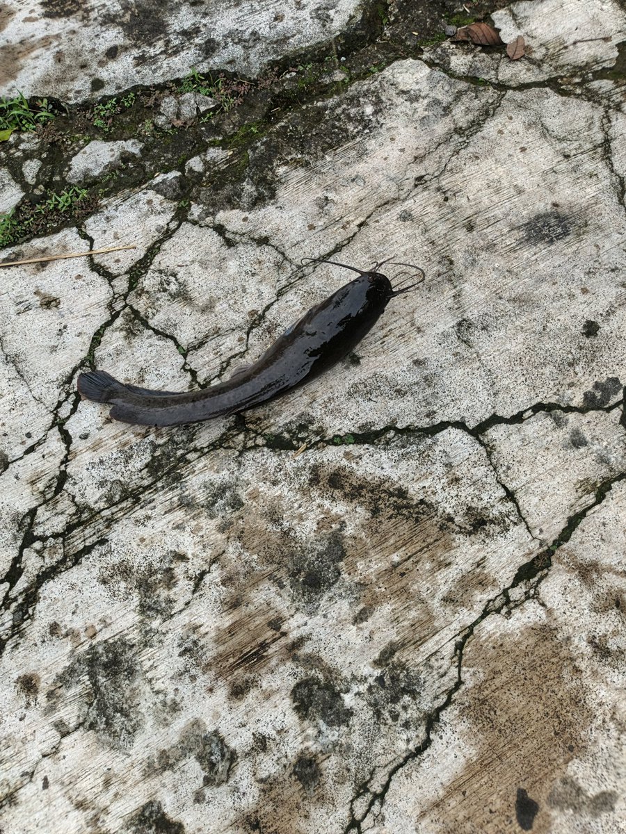 Agenda 1 siap join sirkel mancing🤝