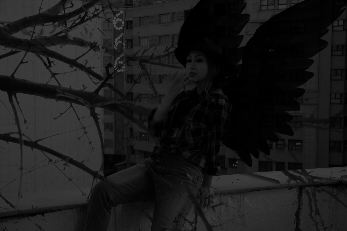 Invisible Chicks tweet media