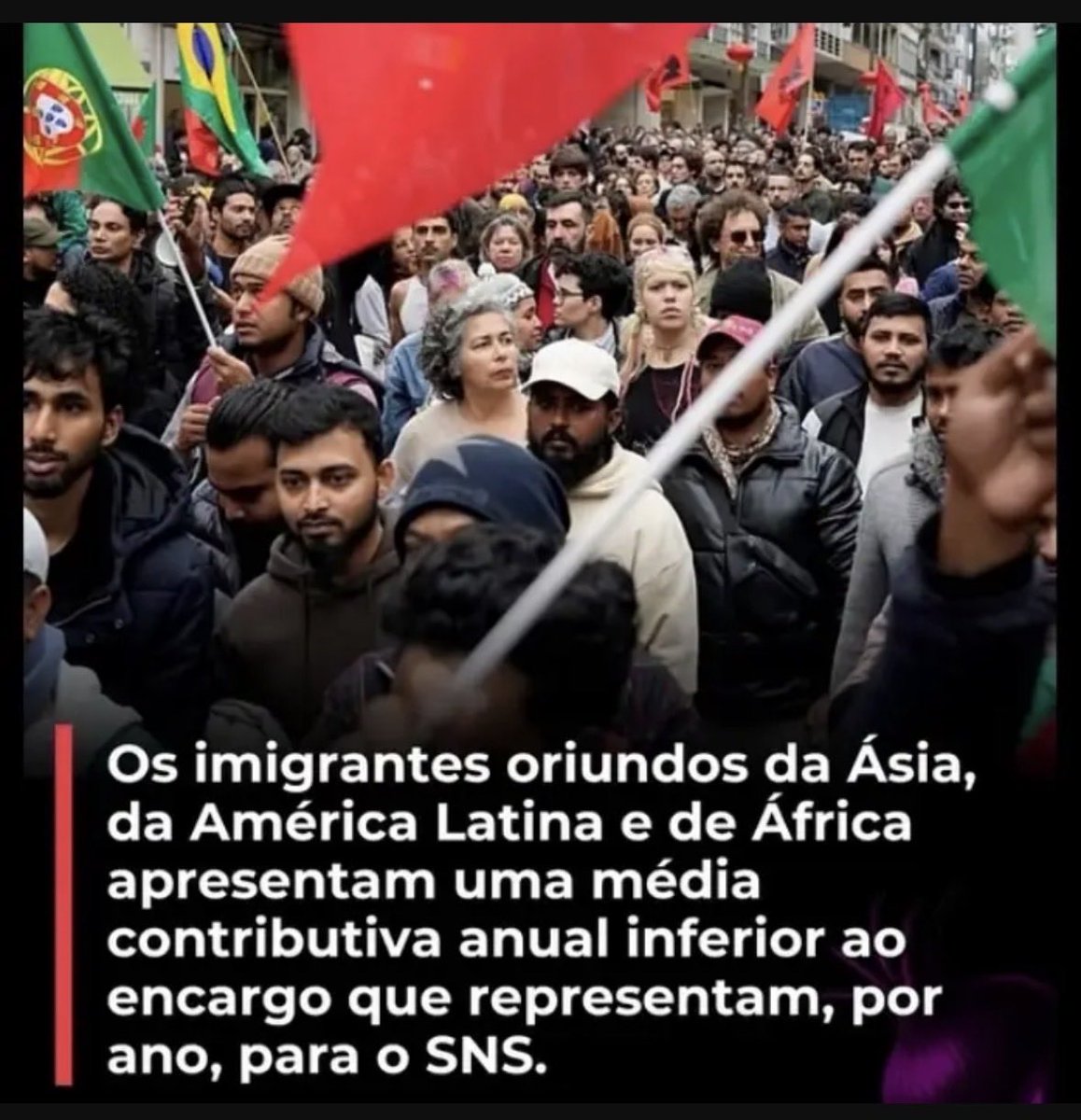 Zé Nunes tweet media