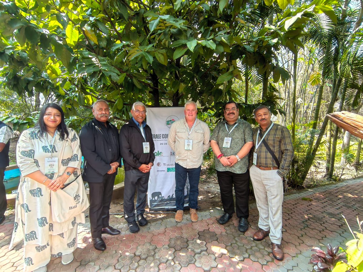 International Big Cat Alliance (IBCA) tweet media