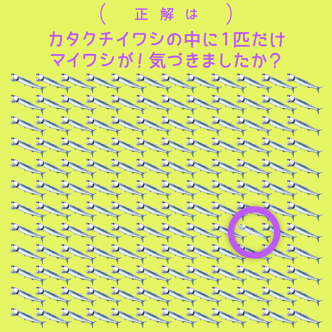 大阪・海遊館 tweet media