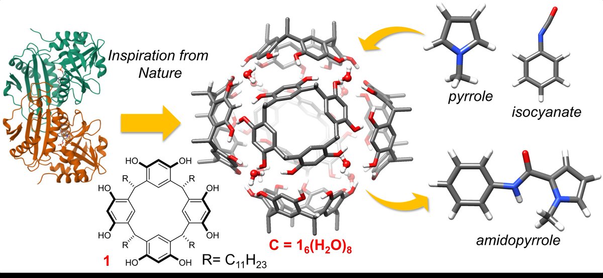 Lisa Roy tweet media