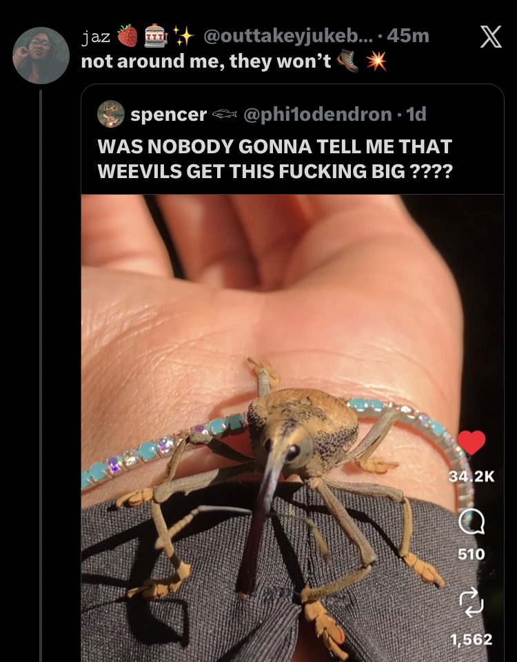 𝚓𝚊𝚣 🍓🎰✨ tweet media