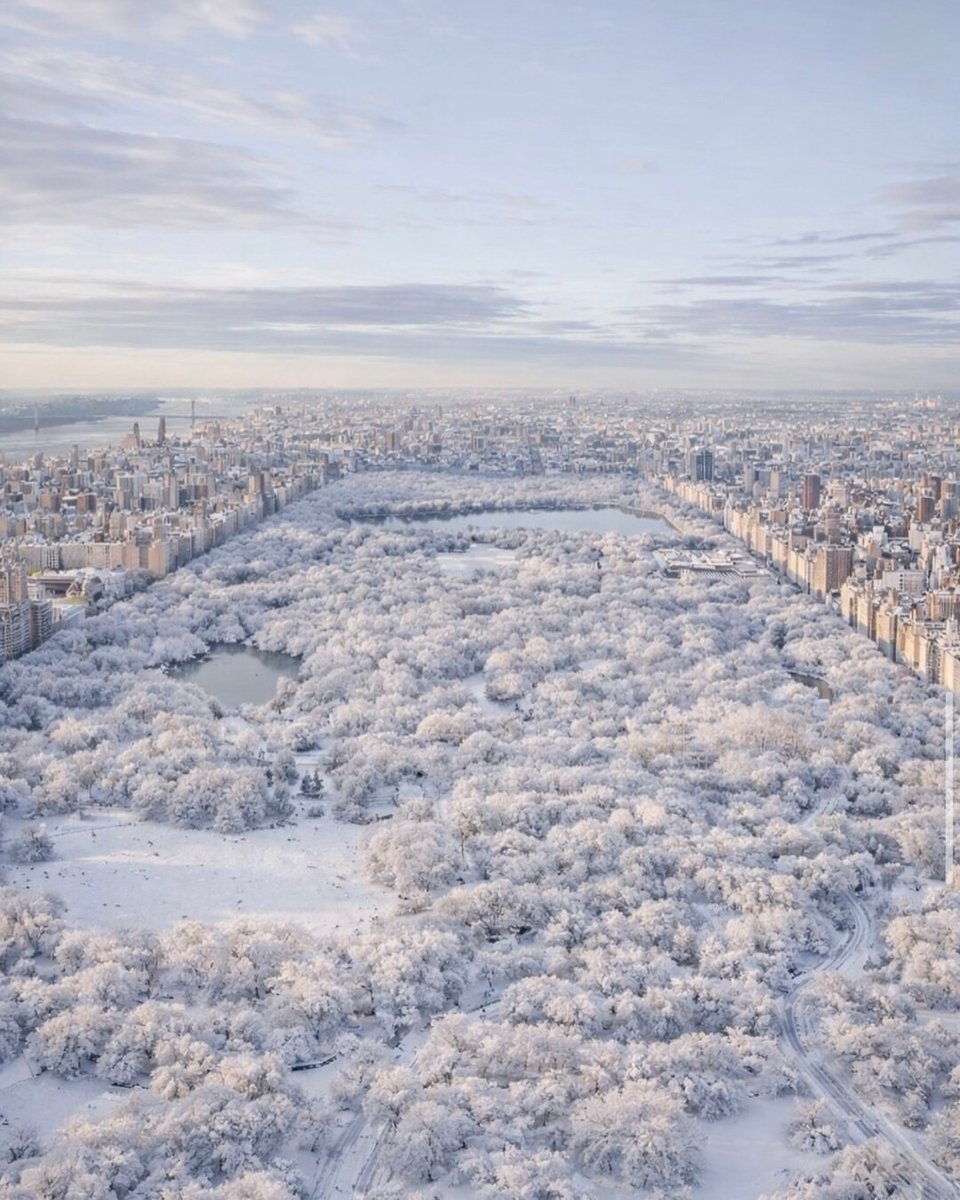 Central Park, New York