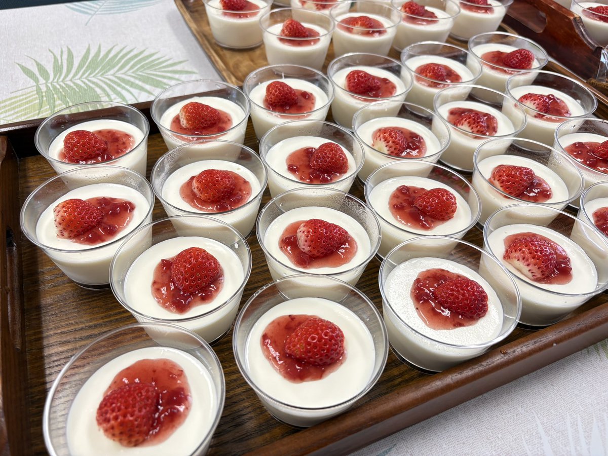 春のタネ tweet media