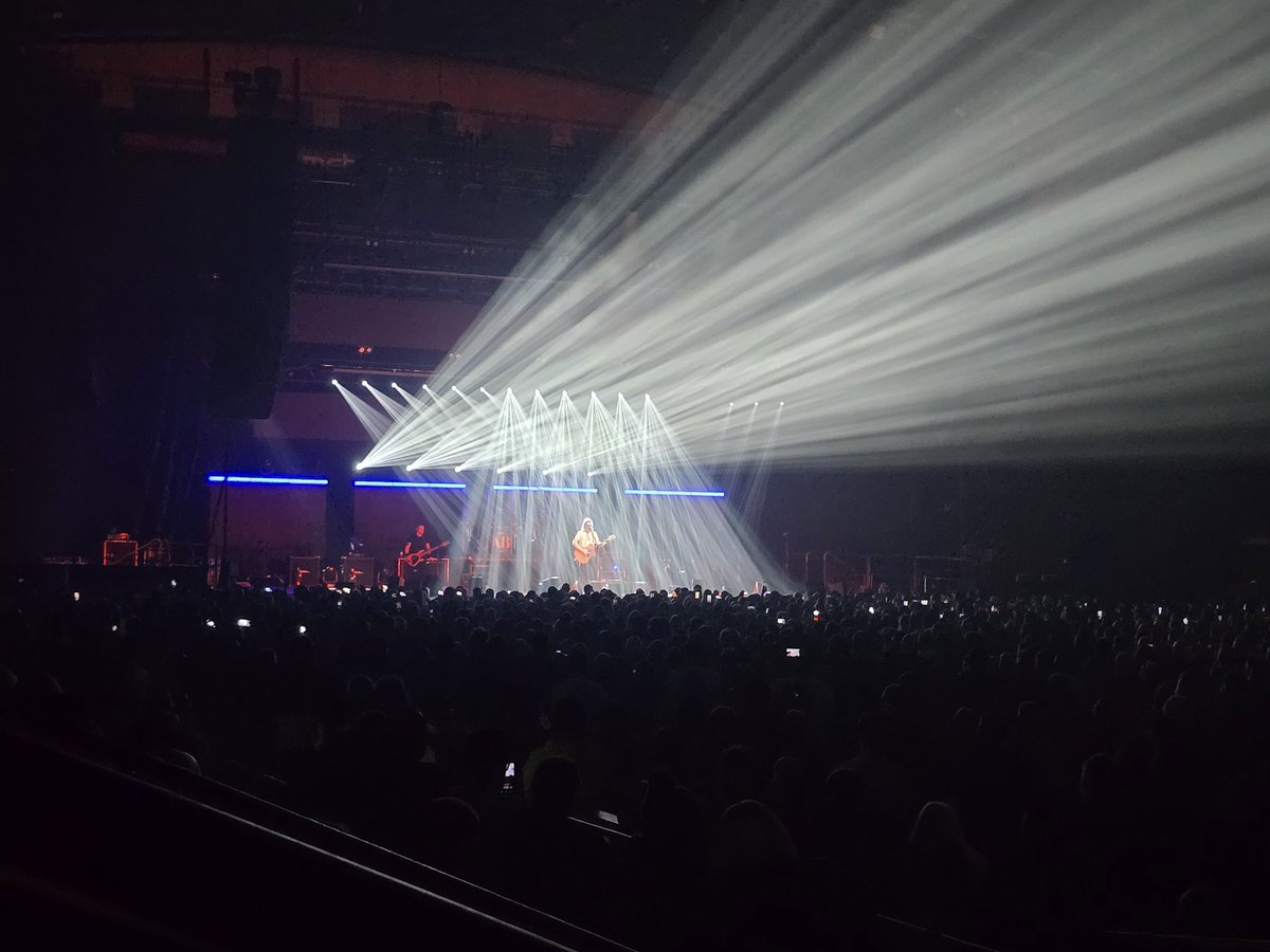 Ian Todd tweet media