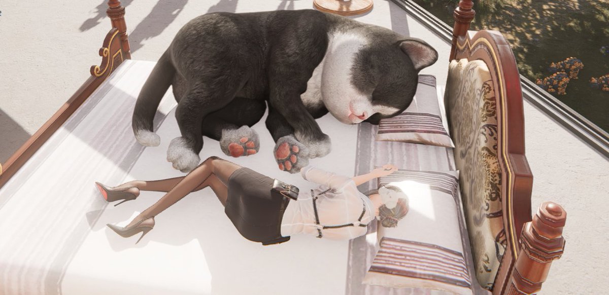 ly_game000's tweet photo. 動物の日！
ワンスで猫ちゃん一緒に寝てくれるの知ってすぐ寝た🐱可愛すぎ(´･_･`)

ハートピアではテンともっと仲良くなり猫ちゃんがお散歩できるようになってみんなでドライブ🚗
全員乗せれるようにしてほしい⸜(*˙꒳˙*)⸝

#onehuman #ワンスヒューマン
#ハートピア #ハートピアスローライフ https://t.co/fzC17DBSCo