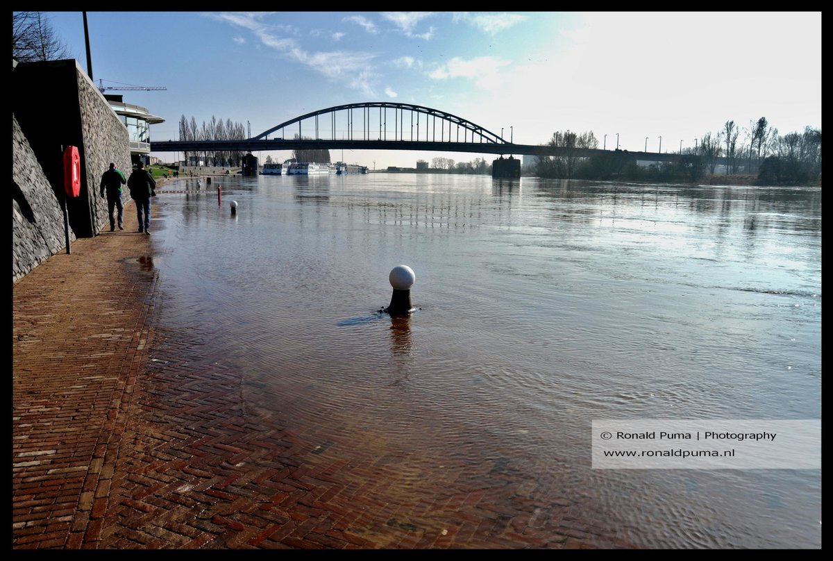 RonaldPumaPhoto's tweet photo. #Arnhem #Netherlands. De #waterstand van de #Rijn (#Nederrijn) is gestegen. Water loopt over de kade. Problemen worden niet verwacht. #weer #Lobith #Tolkamer #Deventer #Rijkswaterstaat #Waal #NAP #binnenvaart #transport #economie #politiek. https://t.co/oKLRleLcAy