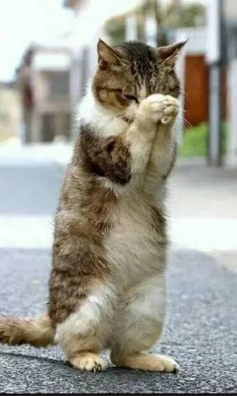 Hello everyone..na me your sling-slinging underdog..i slay giants with biblical motivation.. follow me you no say na records dey chase Ronaldo, not vice versa — help me hit 5M impressions two weeks on and prove underdogs go viral...to follow person cheap pass puff-puff...and I