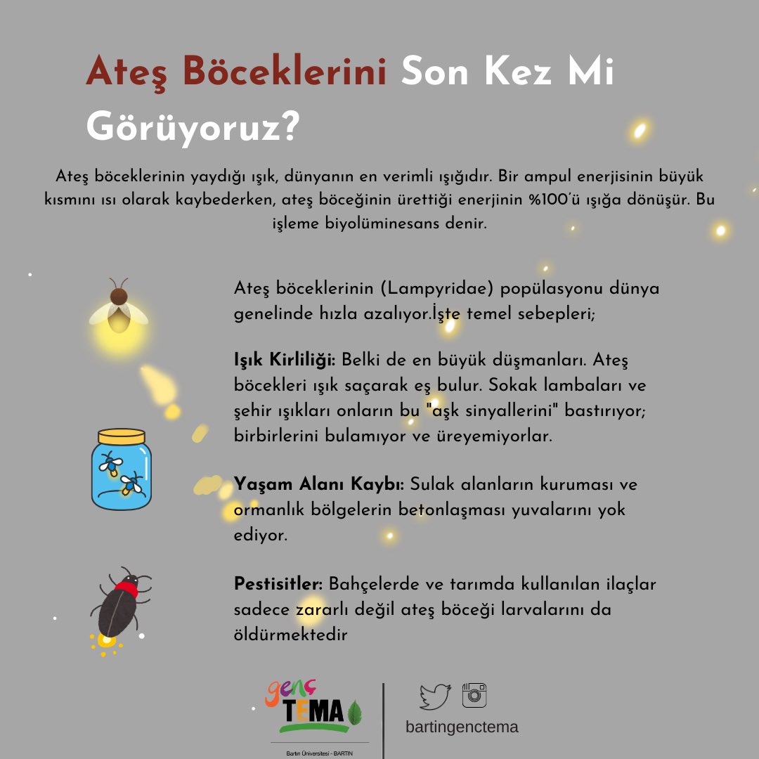 Ateş böceklerini son kez mi görüyoruz?
#temavakfı