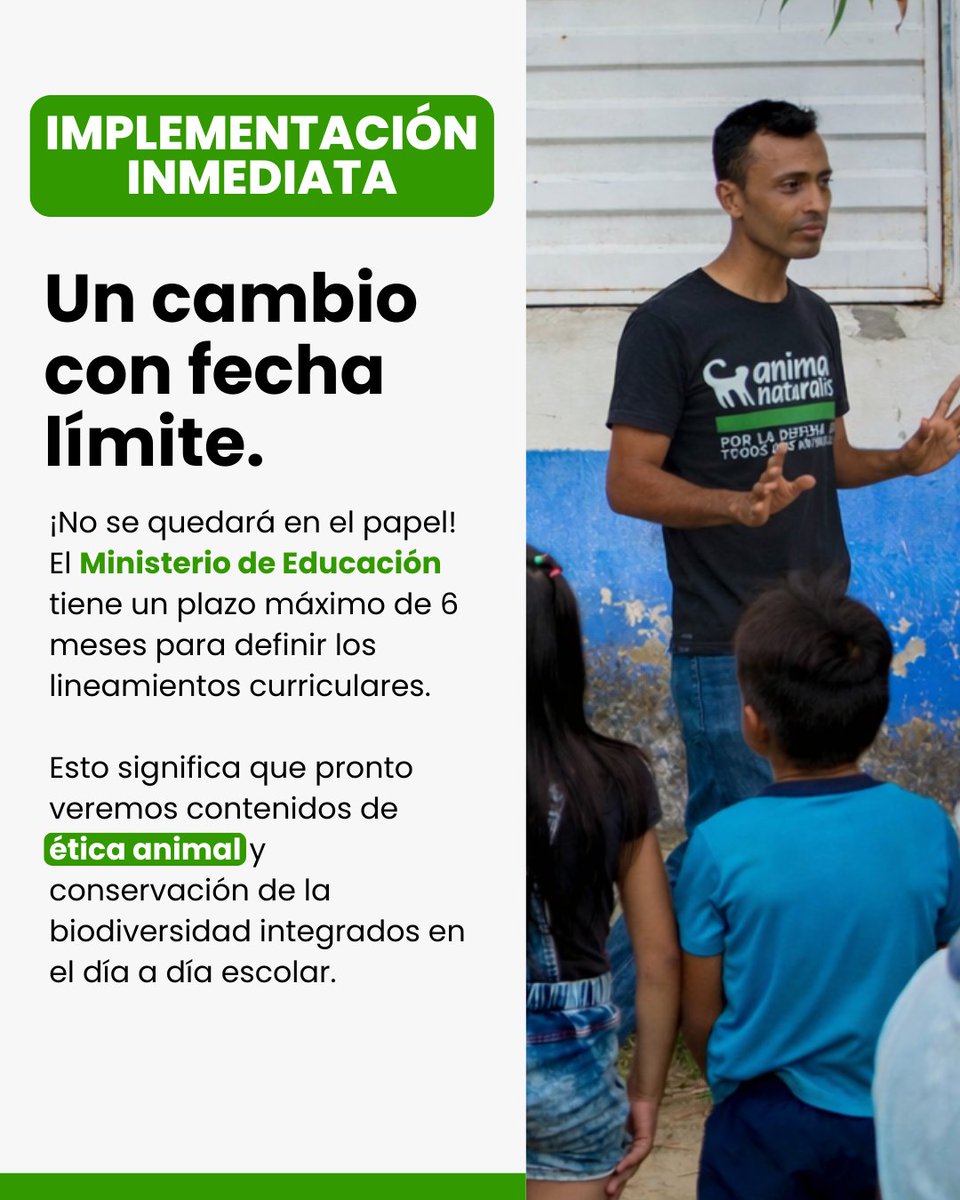 AnimaNaturalisCol tweet media