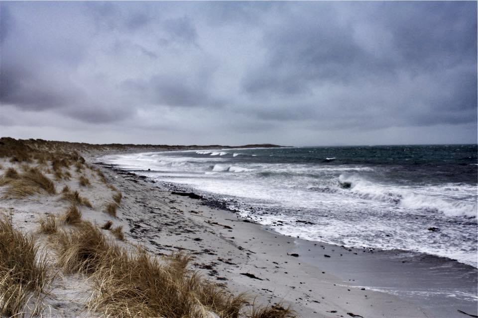 DaliMach tweet media