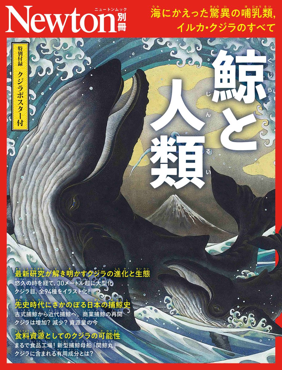 kujiratown's tweet photo. 【クジラ好き必見！】イルカ・クジラのすべてが分かる👀✨
Newton別冊「鯨と人類」が3月10日より発売🐳
かつては陸を歩くオオカミのような姿をしていたクジラが、なぜ海へと戻り、多様な進化を遂げたのでしょうか？
詳しくはくじらタウンをチェック！→https://t.co/WSoBYdfZSL https://t.co/tKp2vP00I1