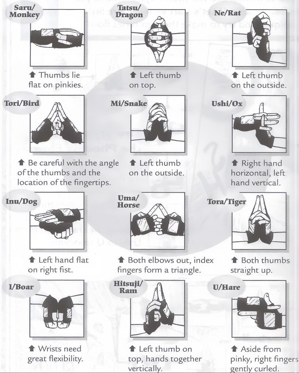 NarutoDaily_'s tweet photo. Hand signs in Naruto https://t.co/O1JnCRygUw