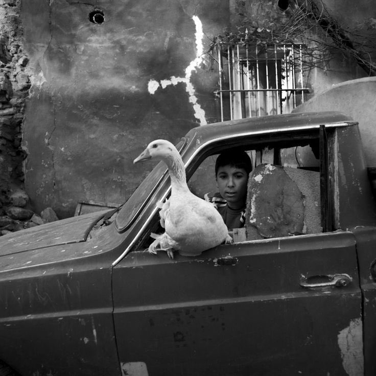 İstanbul 

Fotoğraf; Timurtaş Onan