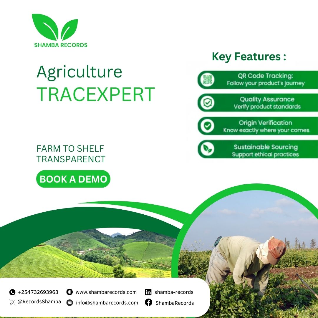 Shamba Records tweet media