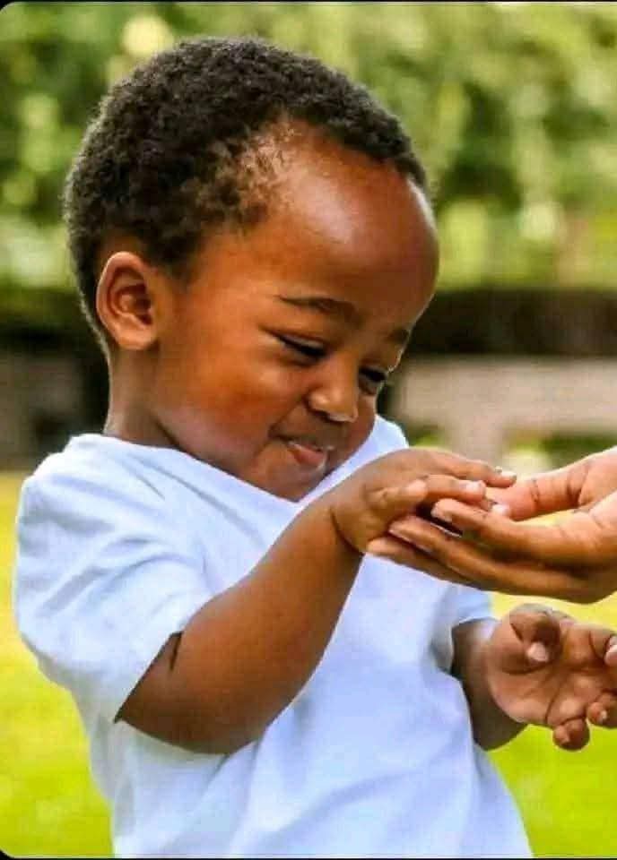 Mayele Ndlovu tweet media