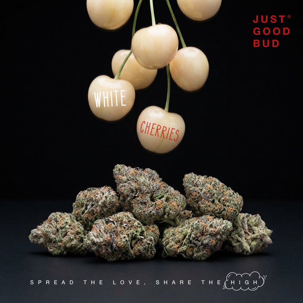JustGoodBud tweet media