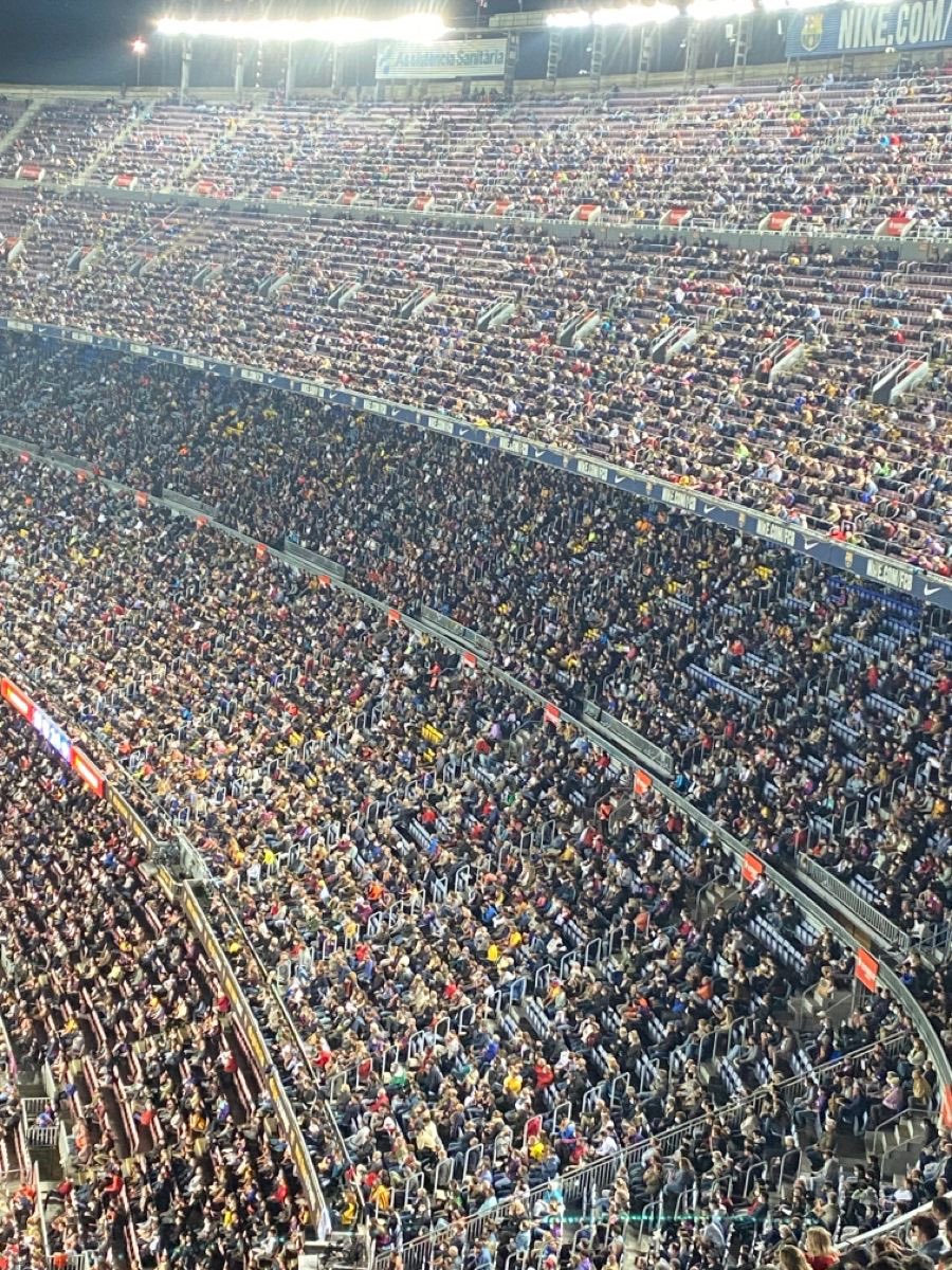 ふわ🐜 tweet media