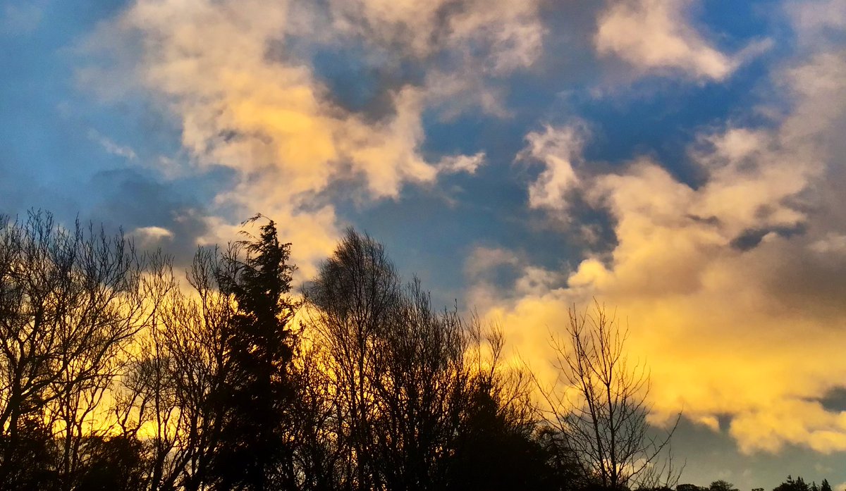 Cloudymamma tweet media