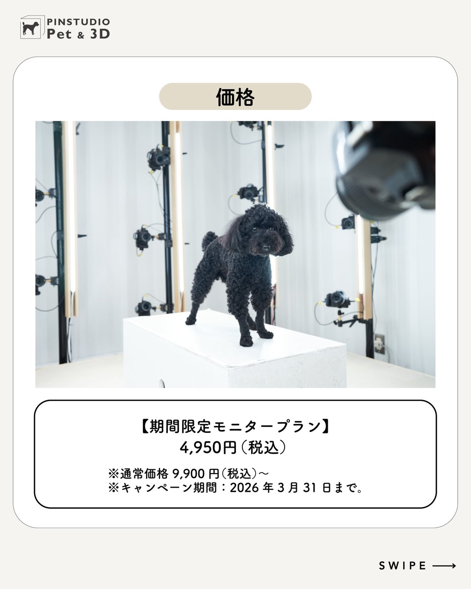 PINSTUDIO (ピンスタジオ) tweet media