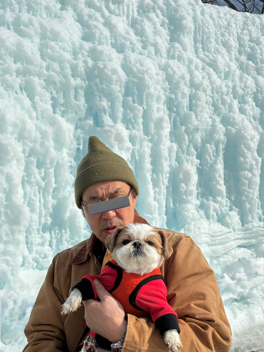 支笏湖氷瀑まつり の準備が進んでいました🧊
＃シーズー
＃支笏湖 
外国人しか会わなくて、あちこちからShih Tzu！と言われまくりのちび太でした