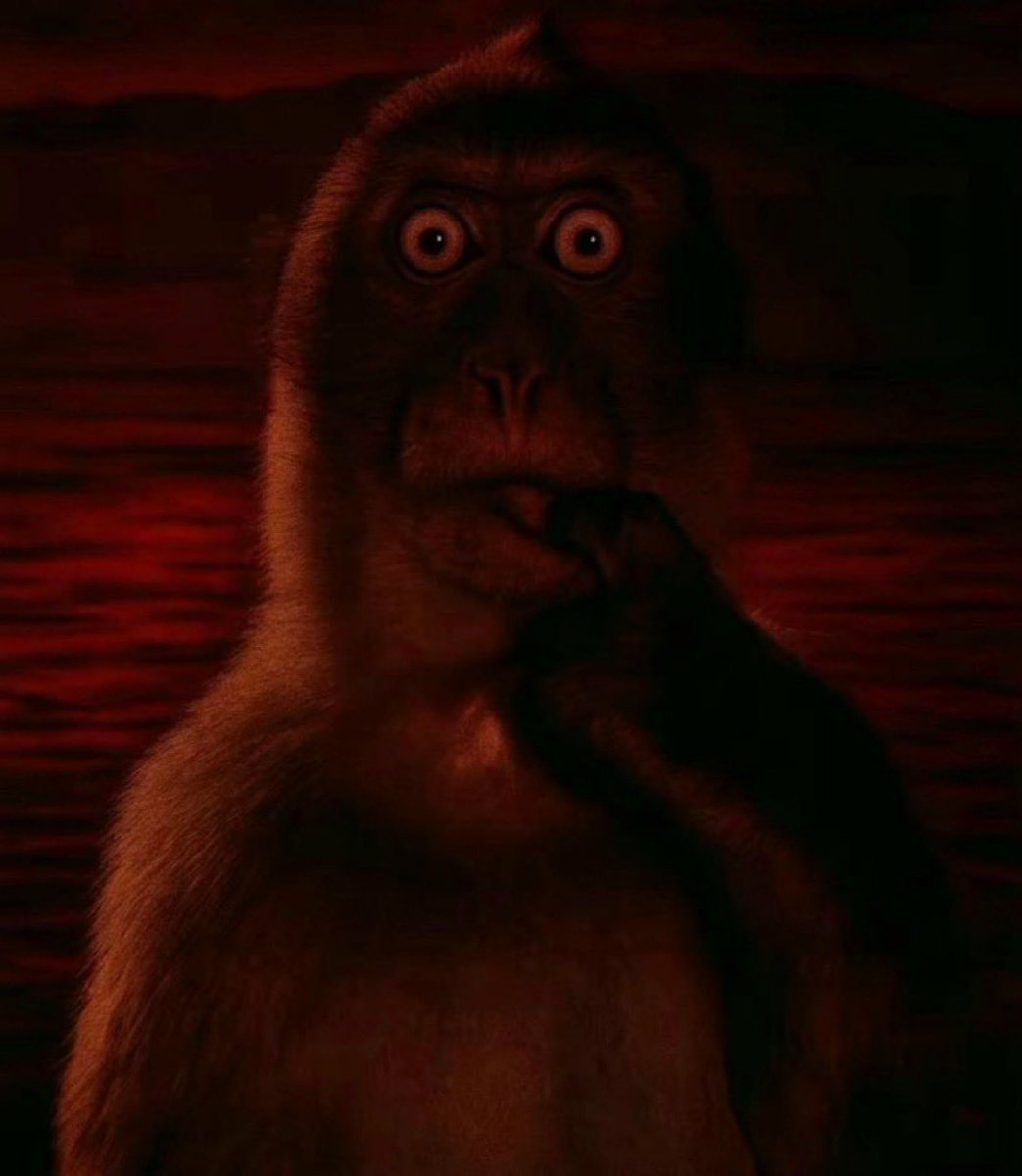 unk ⚡️ tweet media