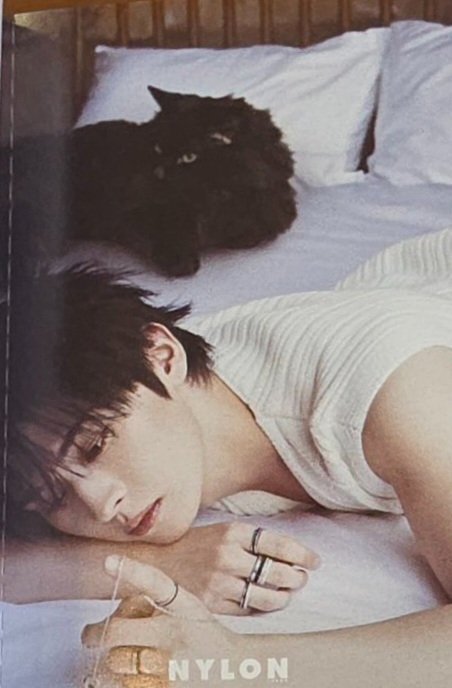 lena ✰ tweet media