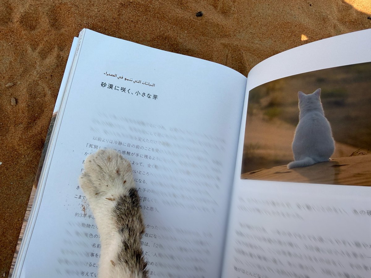 各子見出しのアラビア語はオットに考えてもらったもの。日本語を丸々