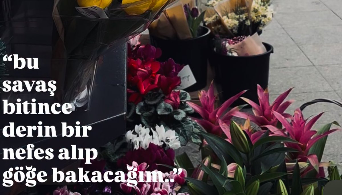 haklı (@asirihaklii) on Twitter photo 