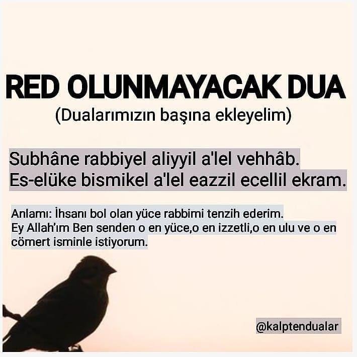 Galerinizde bulunsun