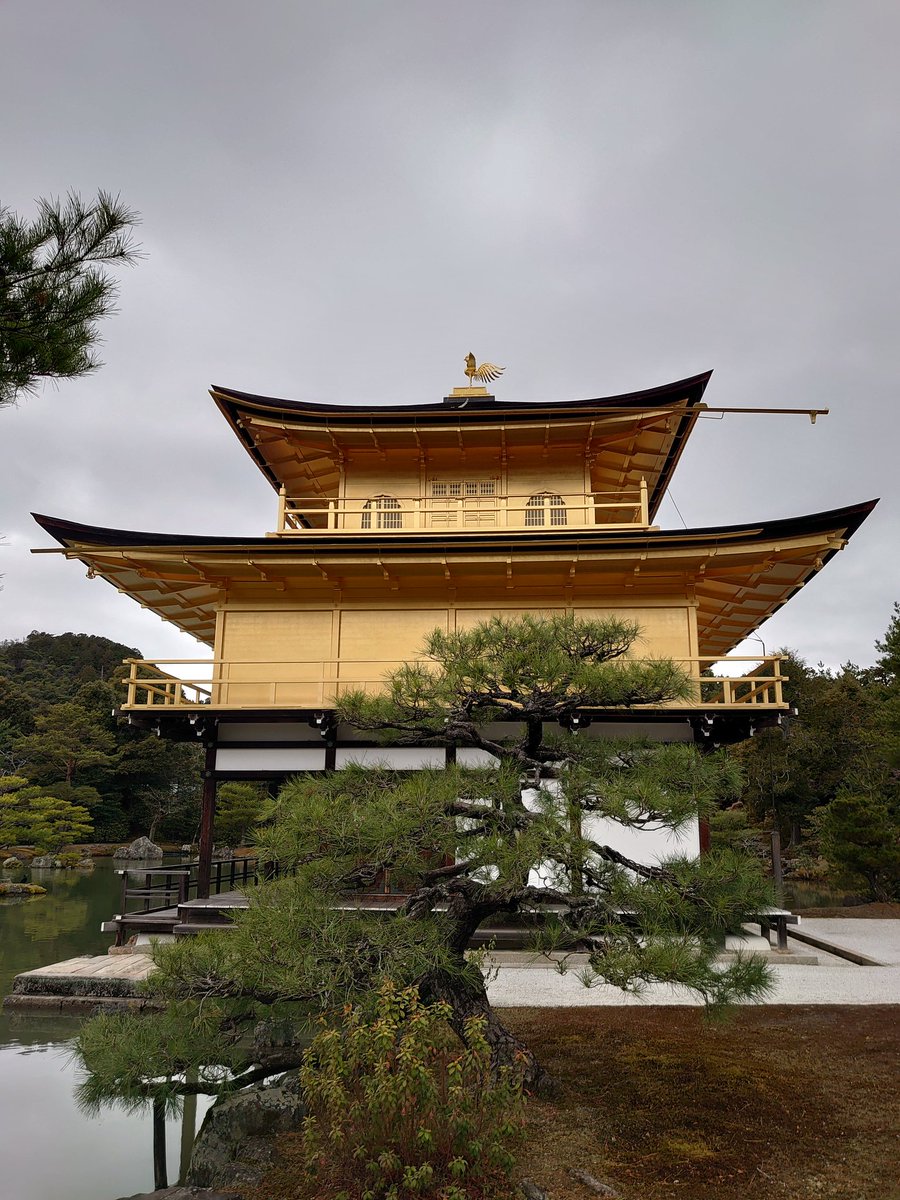 Post by INORIBA on X: 金閣♬