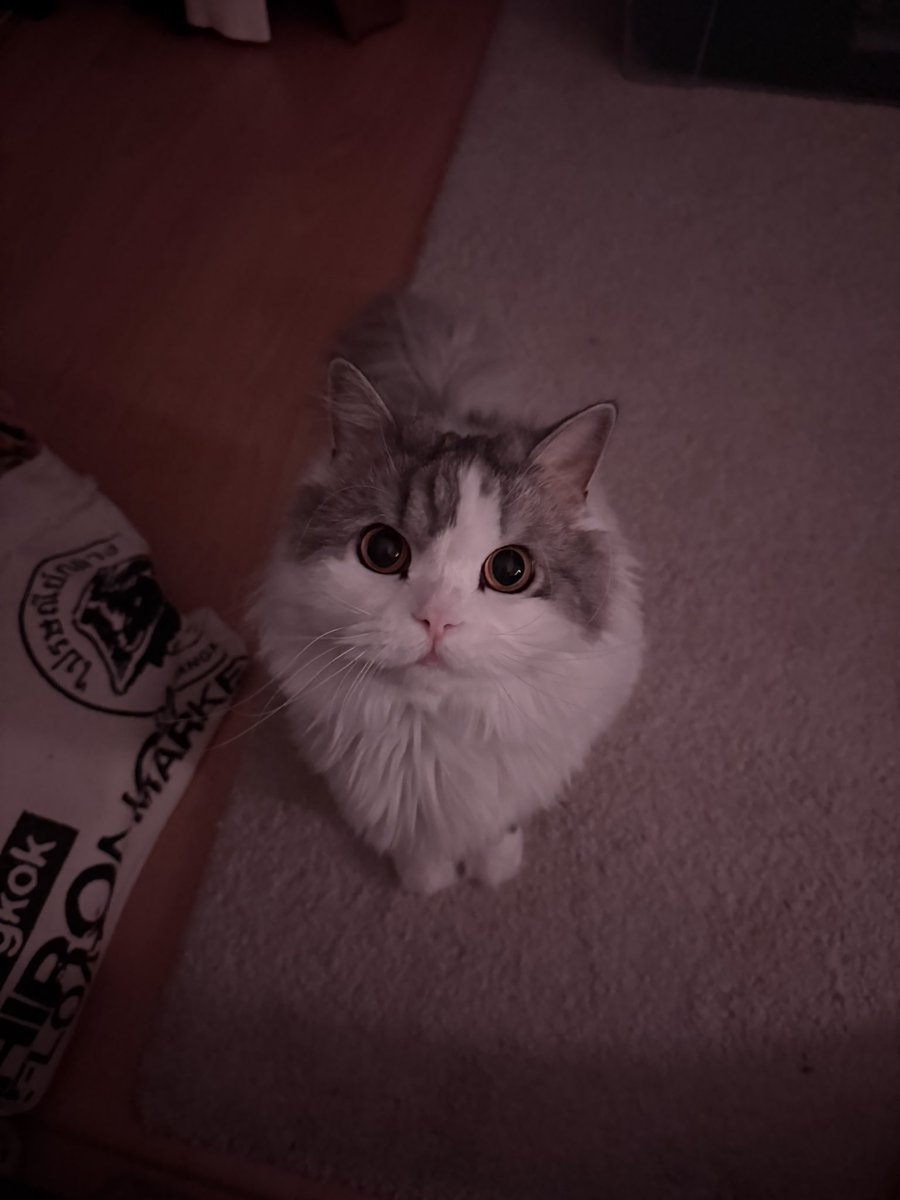 Benjamin Brasier tweet media