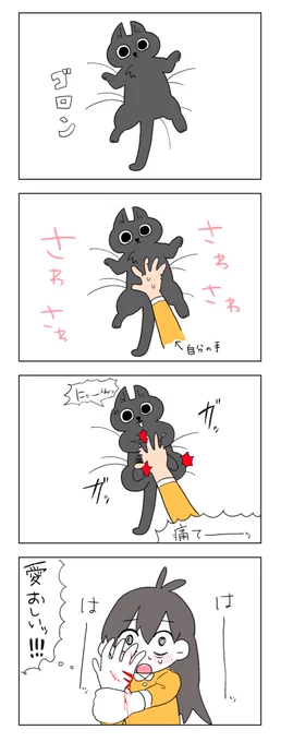 猫飼いあるある🐈‍⬛ 