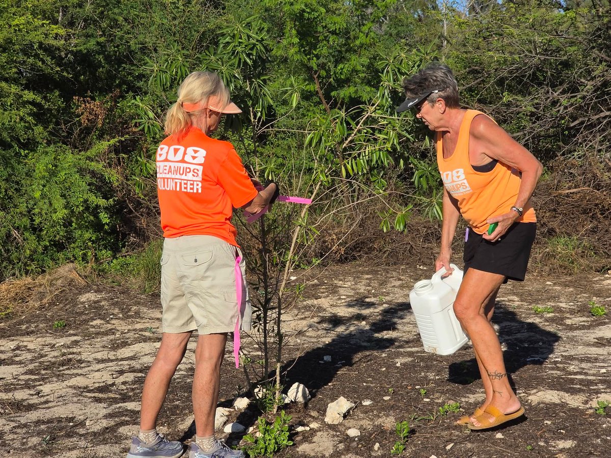 We celebrated ʻōlelo Hawaiʻi today because it is the language of this place we call home.  Volunteers were provided with a few questions and responses and though it may be new and uncomfortable, it is always a welcoming learning opportunity.  We moved into various work...