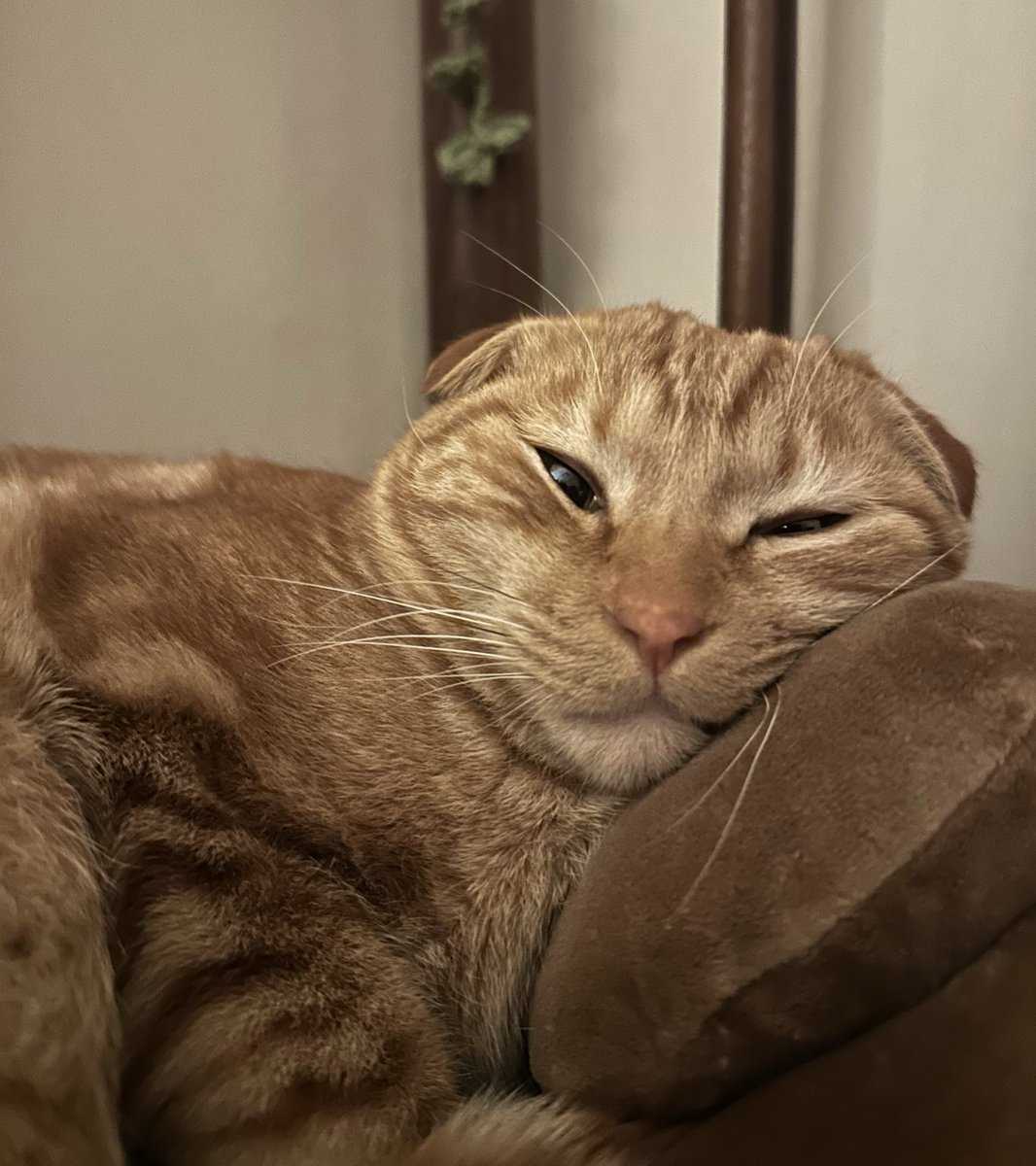 owo (@b_owo_dzzang) on Twitter photo 