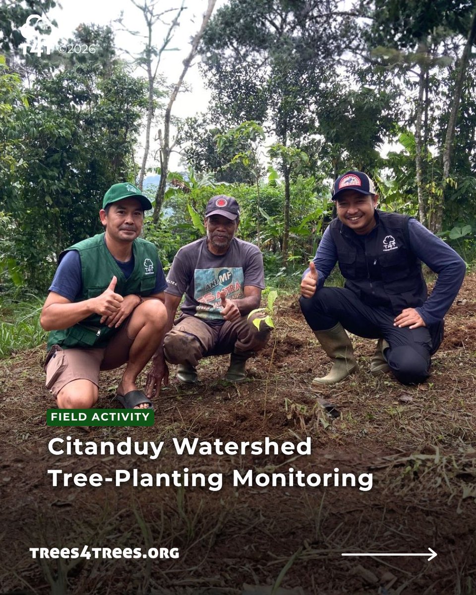 Trees4Trees tweet media