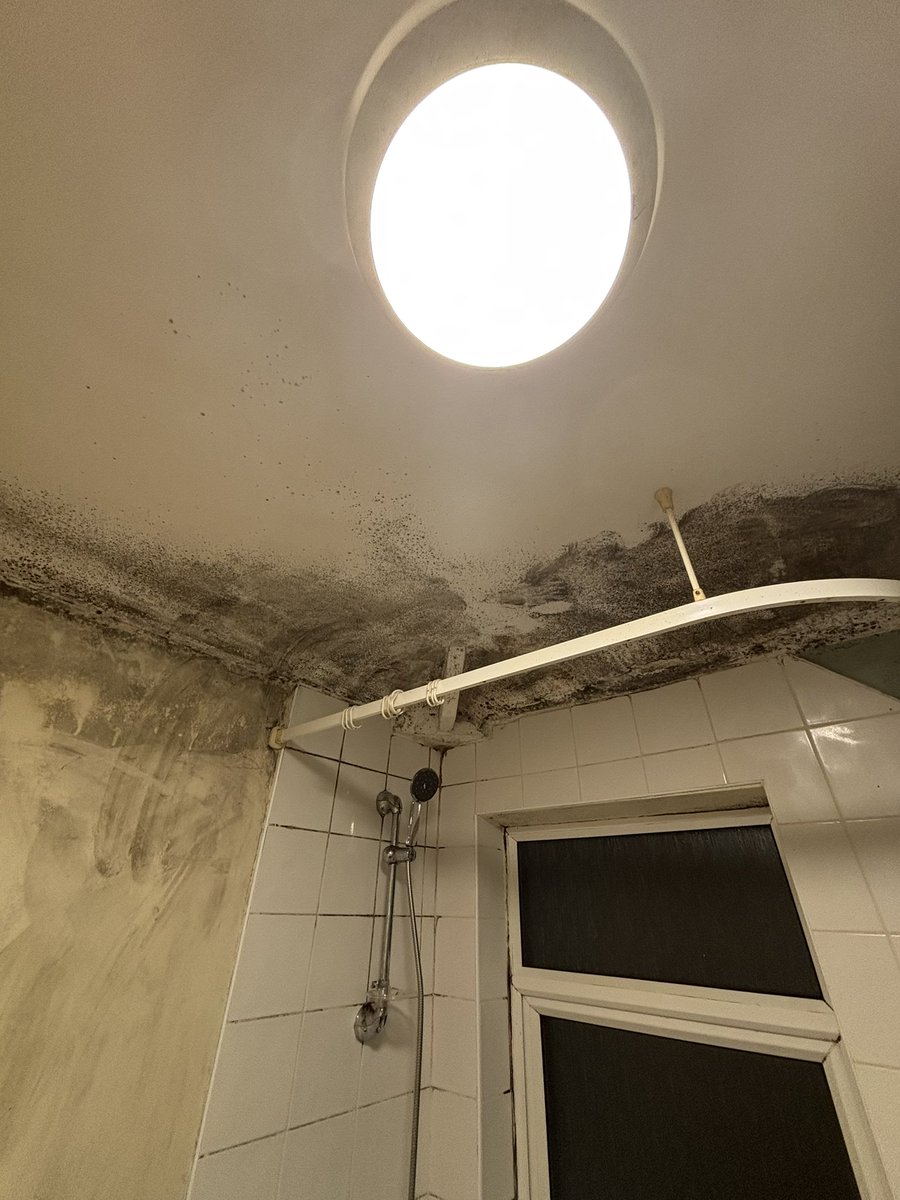 Ryan Mason tweet media