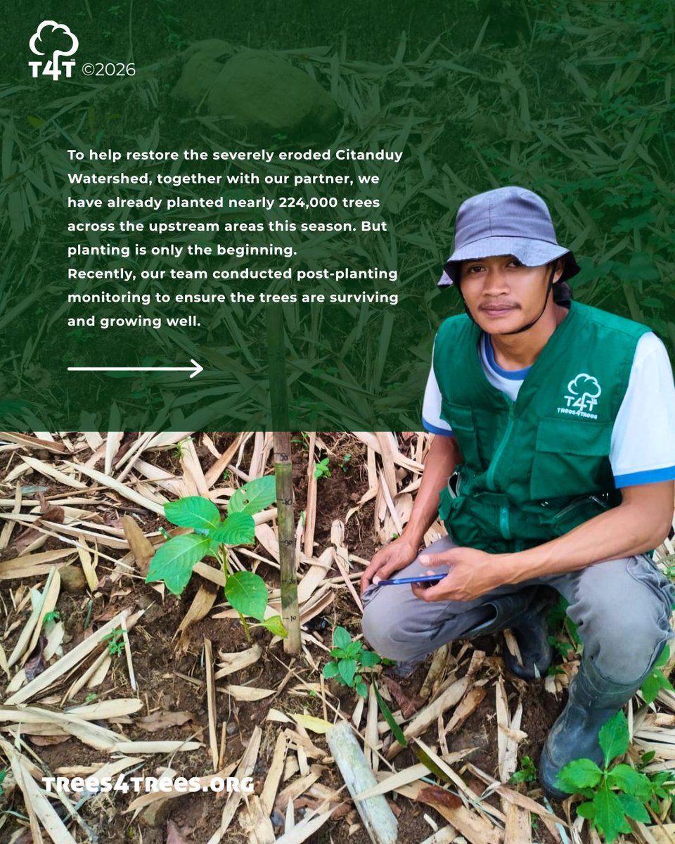 Trees4Trees tweet media