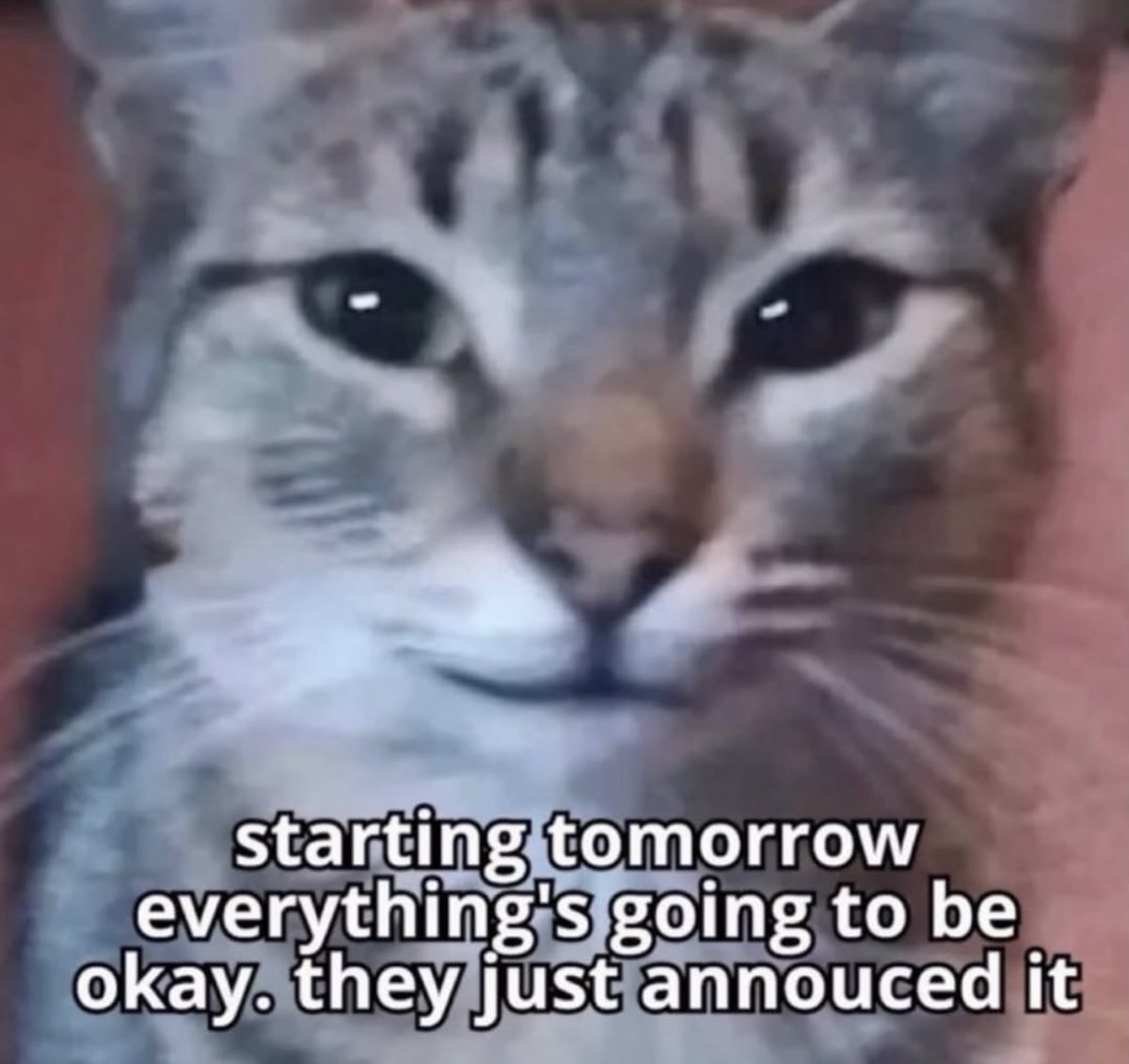 It’s true! Set your calendars