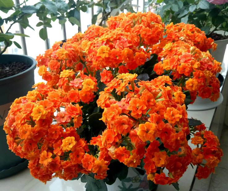 Precise Market Analysis tweet media