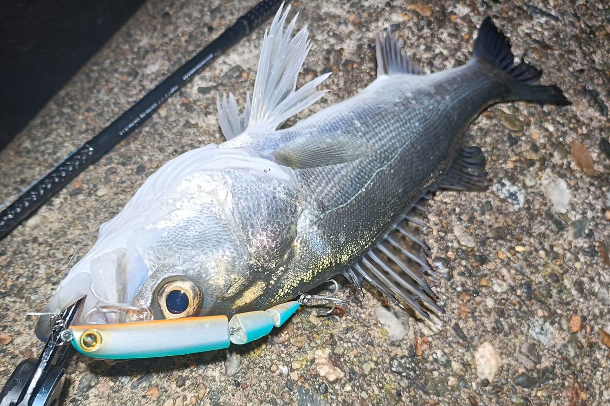 定廣一志 tweet media