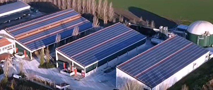 SUNSPEKER tweet media