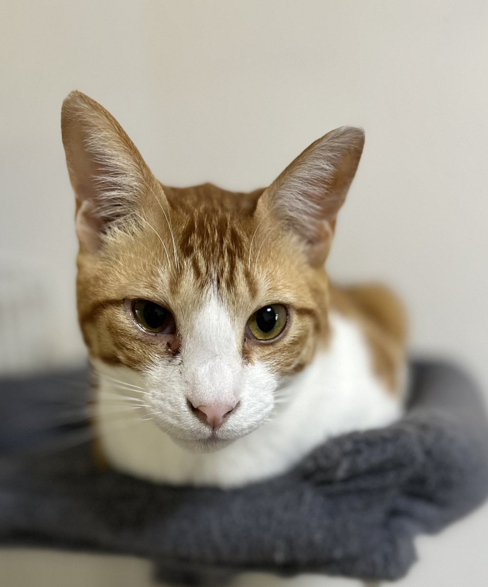 手は全く見せないスタイル