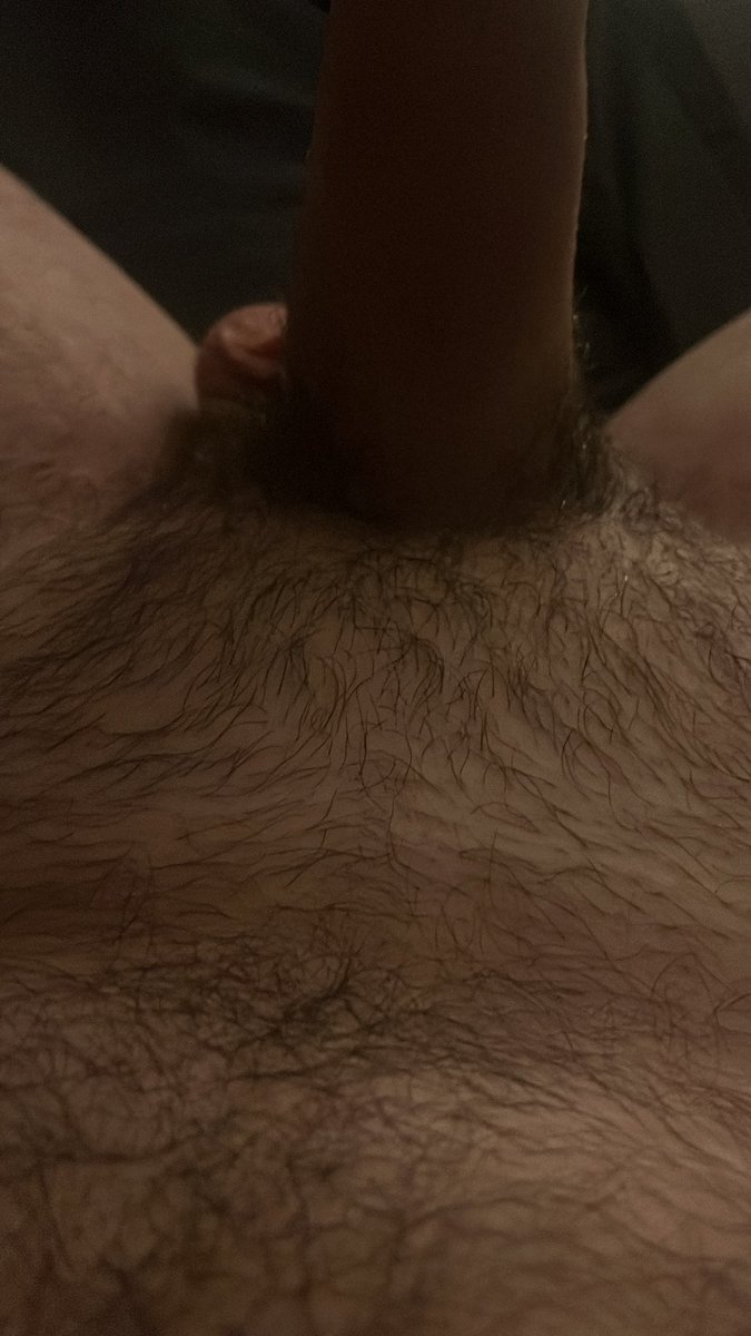 horny david x tweet media