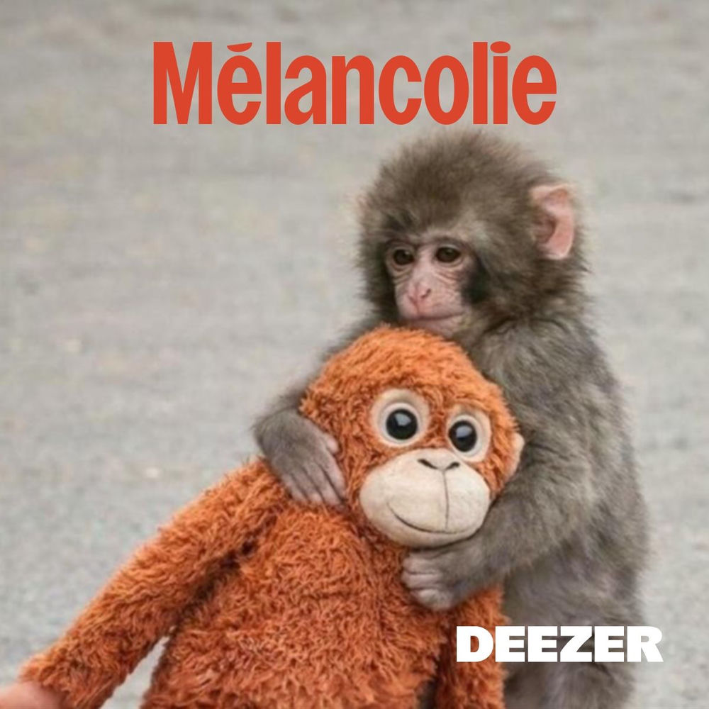 Toi aussi t’es dans un mood mélancolique comme Punch ? 🥹
J’ai ce qu’il te faut ▶️ link.deezer.com/s/32yC2LURQ7ru…
#PunchMonkey #Mélancolie