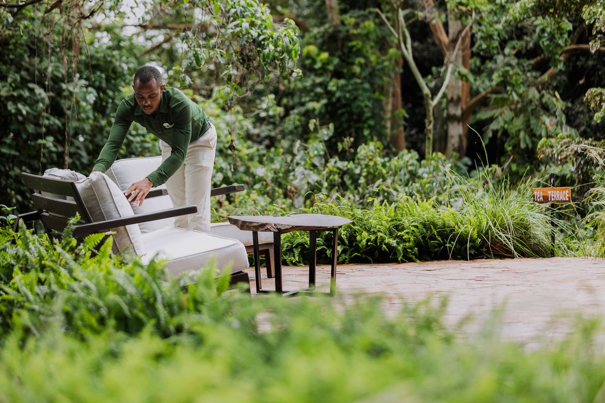 Entebbe Forest Lodge tweet media